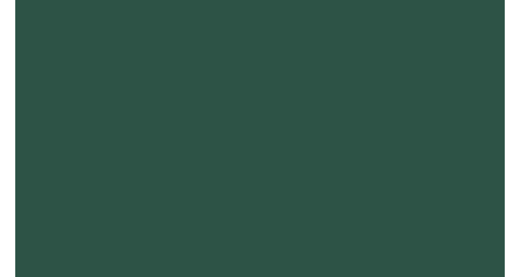Вертикаль 0,2 line 0,5 GreenCoat Pural Matt с пленкой RR 11 темно-зеленый (RAL 6020 хромовая зелень)